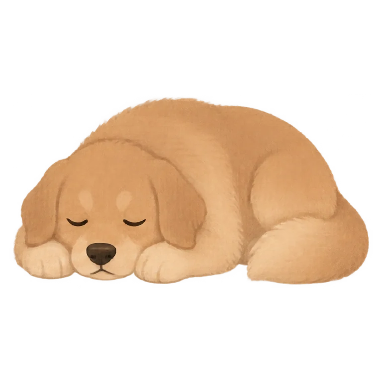 Example: Maple the dog asleep